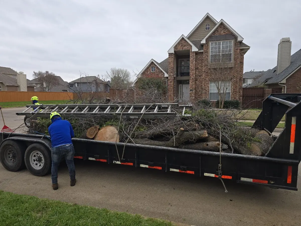 Expert Lot Clearing with proper safety equipment in Ladiesburg